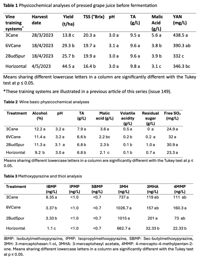 Three tables showing analyses of pressed grape juice before fermentation. They include data on vine training systems, harvest dates, and measures like sugar, acidity, volatile acidity, and methoxypyrazine content.